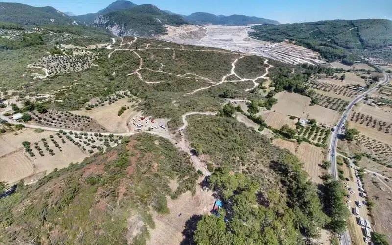 Şirketler Daha Çok Kazansın Diye Zeytinleri Katlettiler