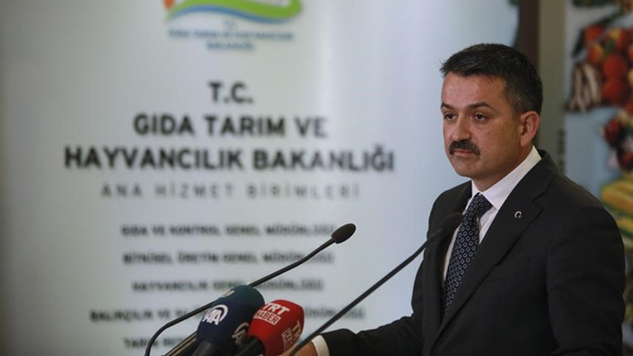 Rusya’ya ‘ihracat’ çıkarması Rusya’ya ‘ihracat’ çıkarması